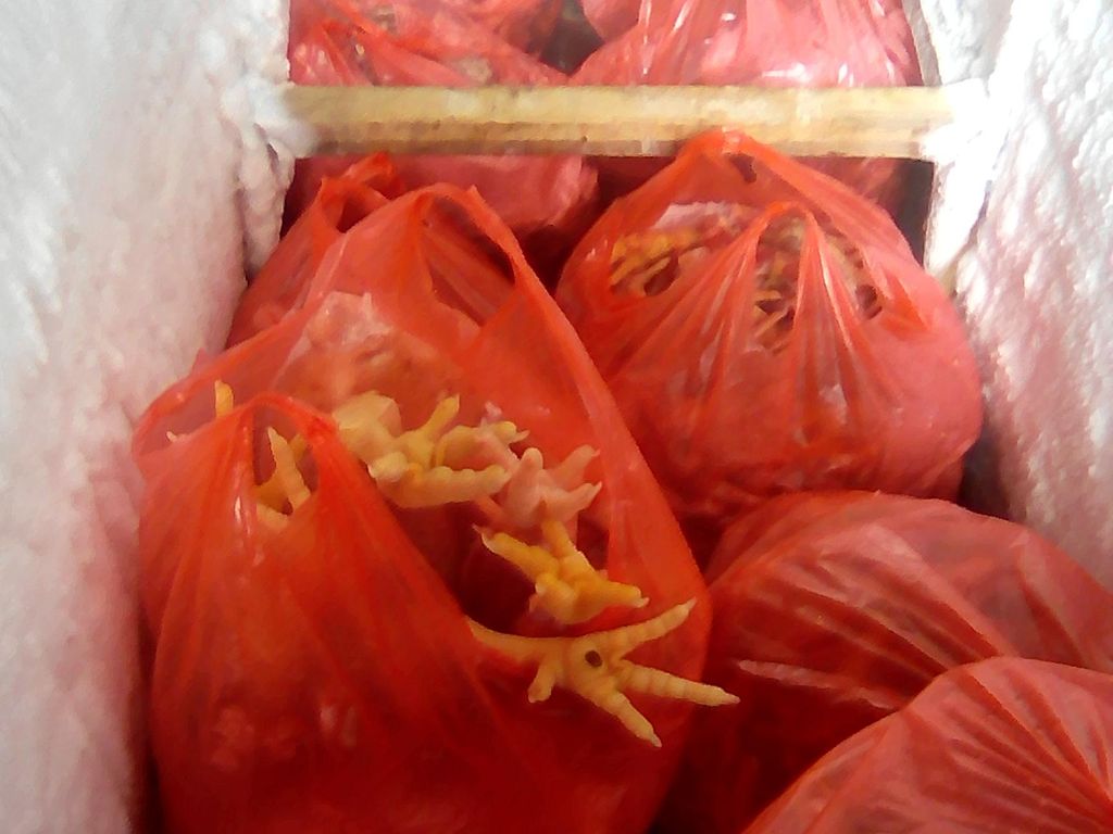 Polisi Gerebek Produsen Bakso Berbahan Ayam Tiren di Jetis Bantul