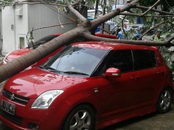 Mobil Swift Tertimpa Pohon di Kawasan Bundaran HI