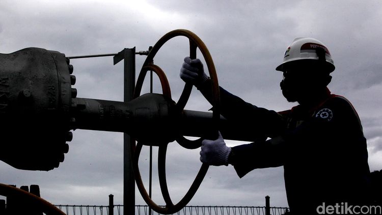 Halmahera Jadi Magnet Investasi AS: Perusahaan Amerika Raih Hak Garap Sumber Daya Unggul