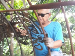 Teguh Ostenrik Tenggelamkan Instalasi Seni Domus Musculi di Kepulauan Seribu