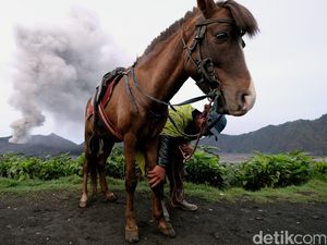 Kasada di Saat Status Gunung Bromo Waspada, Wisatawan Dilarang Dekati Kawah