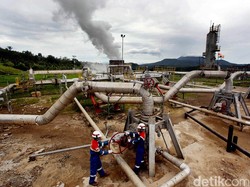 Ditugasi Bikin Anak Usaha Energi Terbarukan, PLN Tunggu Dana Pemerintah