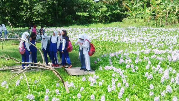4 Taman Bunga di Yogya dan Semarang yang Mirip di Luar Negeri