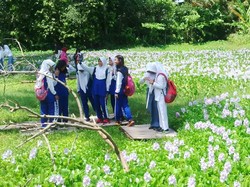 Begini Gaya Remaja Yogya Foto-foto di Taman Bunga Eceng Gondok di Bantul