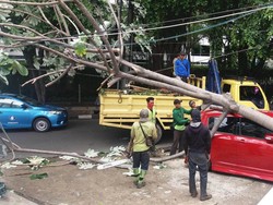 Mobil Swift yang Tertimpa Pohon Tumbang di HI Milik Anggota Polda Metro