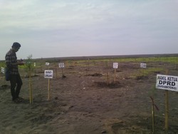 Bekas Tambang Ilegal di Selok Awar-Awar Ditanami 11 Ribu Pohon