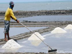 Jurus Holding BUMN Pangan Pacu Produksi Garam Nasional