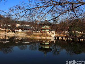 Korsel Rilis Visa Grup, 887 Turis Indonesia Langsung Berangkat