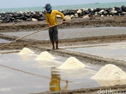 Di India Angkut Garam Pakai Truk, RI Masih Pakai Sepeda