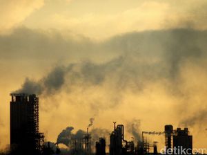 Jurus Pabrik Semen Tekan Polusi dan Sulap CO2 Jadi Oksigen Jurus Pabrik Semen Tekan Polusi dan Sulap CO2 Jadi Oksigen