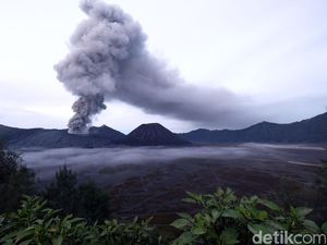 Bromo Kehilangan 150 Ribu Wisatawan Selama Erupsi, Kerugian Rp 3 Miliar