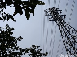 Bukan Mau Bunuh Diri, Ini Alasan Pria di Jakut Panjat Tower SUTET