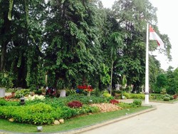 Tukar Nasib, Tukang Sapu Libur dan Digantikan Pejabat di Malam Tahun Baru