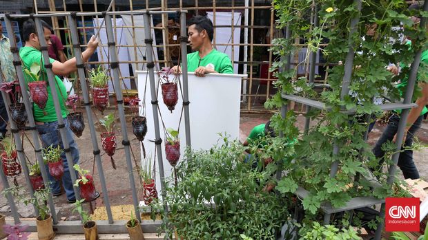 Cara Sederhana Persiapan Berkebun Di Rumah Bagi Pemula