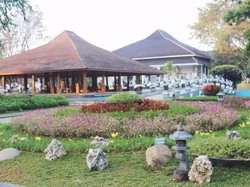 Taman Bunga Keren ini Ada di Purwakarta, Jangan Diinjak Ya Buat Selfie!