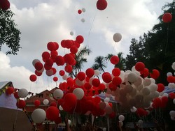 Dukungan KTP untuk Ahok Sudah Tembus 510 Ribu KTP