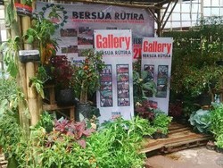 Wow, Lapas se-Indonesia Hijaukan Gor Soemantri di Festival Napi Berkebun