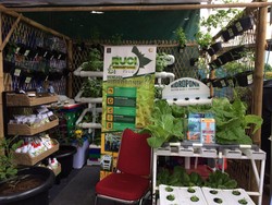 Jika Napi Berkebun Dikembangkan, LP Bisa Jadi Sentra Sayur dan Buah