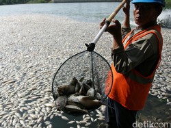 Apa Manfaat Melestarikan Hewan dan Tumbuhan bagi Kehidupan? Ini Jawabannya