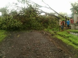 10 Kecamatan di Kabupaten Pasuruan Rawan Puting Beliung