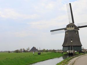 Amsterdam Palakin Turis?