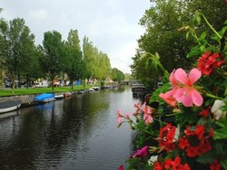 Tragis! Banyak Kucing Tenggelam di Kanal Amsterdam