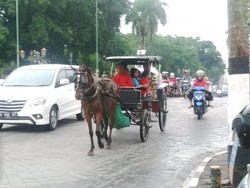 Cerita Kusir dan Penarik Becak saat Lewati Lokasi Tumbangnya Belasan Kuda