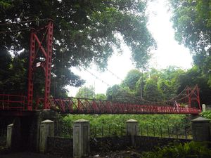 Awas, Kalau Lewat Jembatan di Kebun Raya Bogor Ini Bisa Putus Cinta