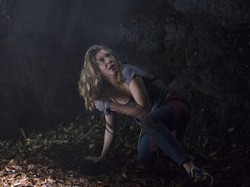 The Forest, Pencarian yang Berujung Teror