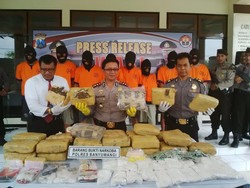 Pengiriman 31 Kg Ganja ke Bali Berhasil Digagalkan