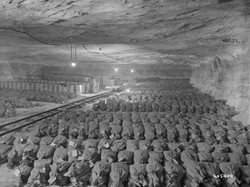 Rahasia Harta Karun Nazi Miliaran Dolar Ditulis di Buku Diary