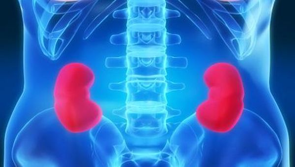 9 Tanda Awal Gagal Ginjal yang Sering Terabaikan