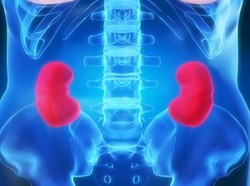 Kebiasaan yang Dianggap Sehat Justru Bikin Sakit Ginjal