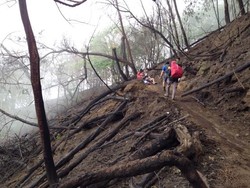 Penampakan Jalur yang Terbakar di Gunung Semeru