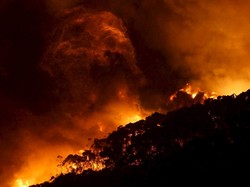 Australia Dilanda Kebakaran Hutan Saat Natal, 53 Rumah Hangus