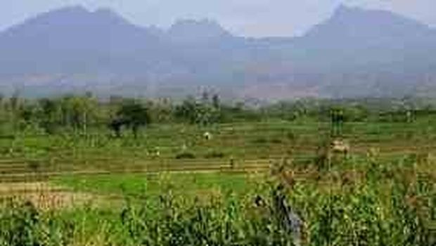Gunung Wilis