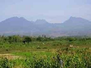 Pesona Gunung Wilis, Destinasi Alam Tersembunyi di Jawa Timur Pesona Gunung Wilis, Destinasi Alam Tersembunyi di Jawa Timur