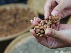 Dulu Berjaya, Kopi dan Lada RI Kini Disalip Vietnam