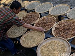 7 Jenis Kopi Terbaik di Indonesia, Wajib Dicoba!