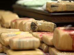 BNN Gagalkan Peredaran Ganja 800 Kg dari Jaringan Aceh