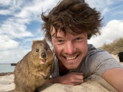 Traveler Jago Selfie Bareng Hewan yang Bakal Bikin Iri