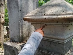 Ribuan Hama Ulat Daun Jati bertebaran di Jalan Resahkan Warga