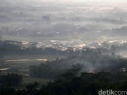 69 Titik Api Kebakaran Lahan yang Muncul di Kaltim dan Riau karena Ulah Oknum