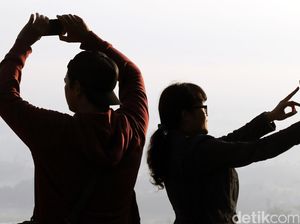 Tragis! Nekat Selfie Sama Beruang, Nyawa Melayang