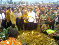 Bahagianya Warga Wamena Papua Bertemu Jokowi
