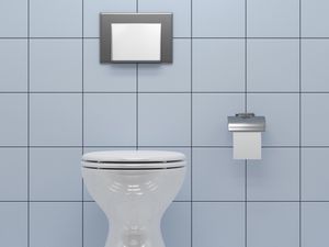 Benarkah Kloset Harus Tertutup Saat Menekan Tombol Flush? Ini Kata Ahli Benarkah Kloset Harus Tertutup Saat Menekan Tombol Flush? Ini Kata Ahli