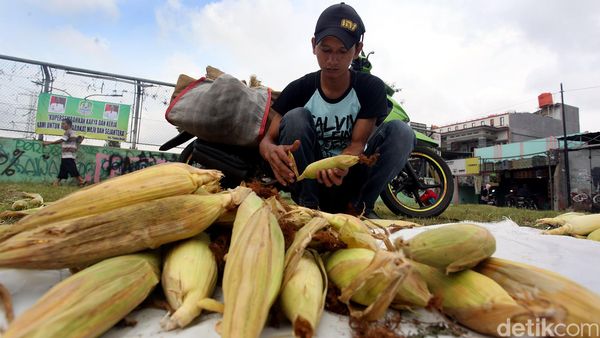 Akhir Tahun, Pedagang Jagung dan Arang Menjamur