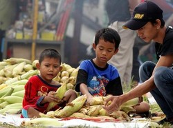 Dari Depok Sampai Bekasi, Penjual Jagung dan Arang Gelar Lapak Jelang Tahun Baru