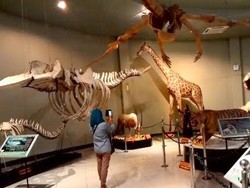 Maharani Zoo dan Goa Tawarkan Wisata Edukasi Saat Tahun Baru