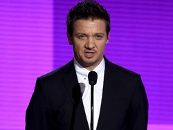 Jeremy Renner Resmi Cerai dari Istri